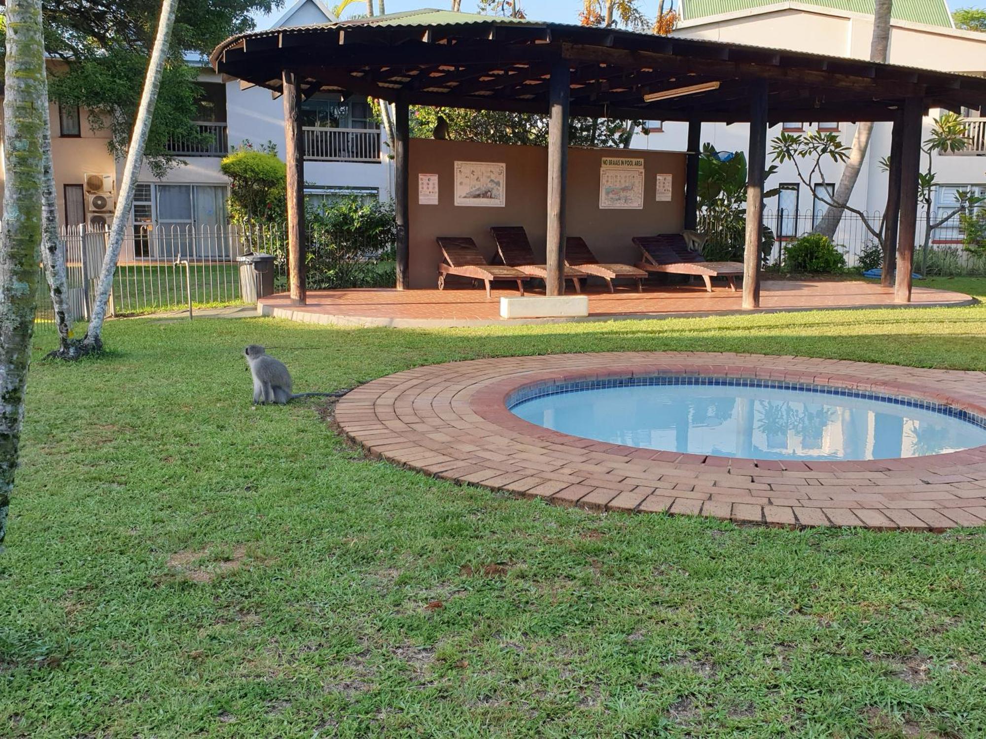 Unit 30 The Bridge - Family Unit In A Prime Spot On The Ground Floor Apartment St Lucia Exterior photo